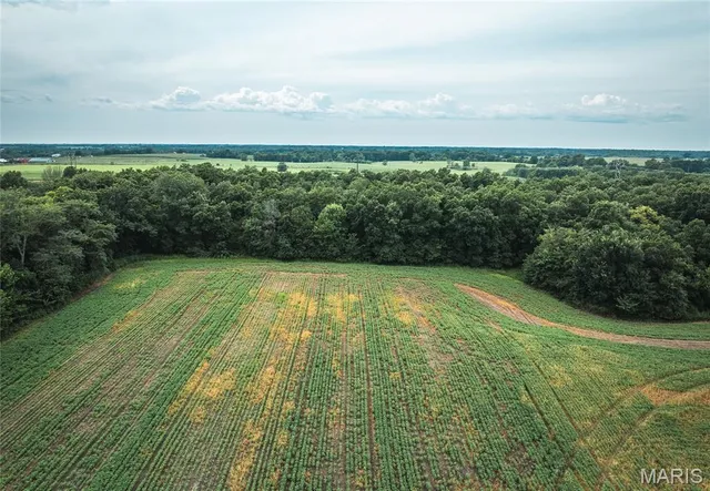 $1,325,000 | 14395 Highway F Canton Mo 63435, Canton, MO 63435