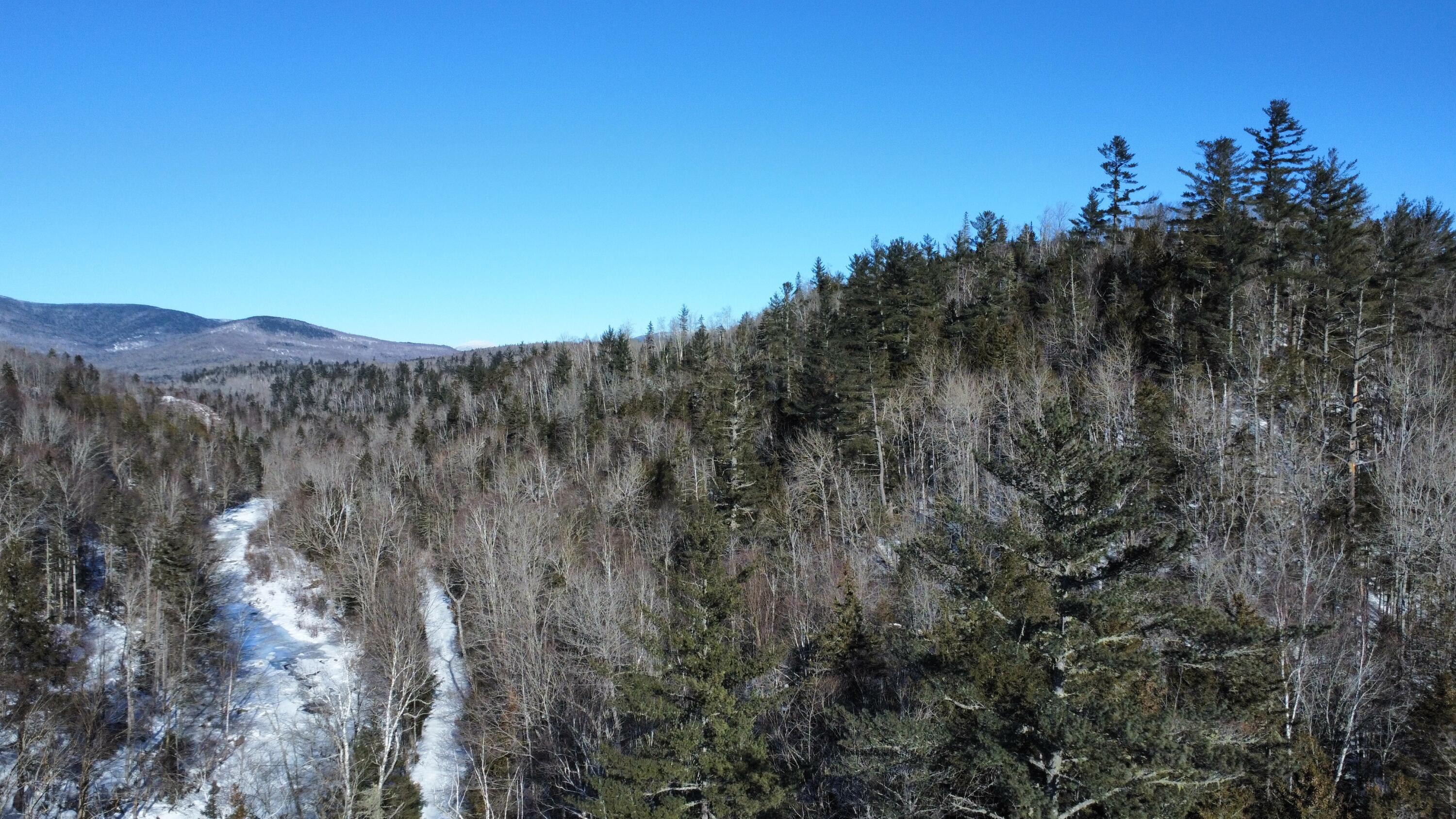 Tbd Railroad Road Madrid Township, ME 04966 - Photo 20 of 23 Orbeton