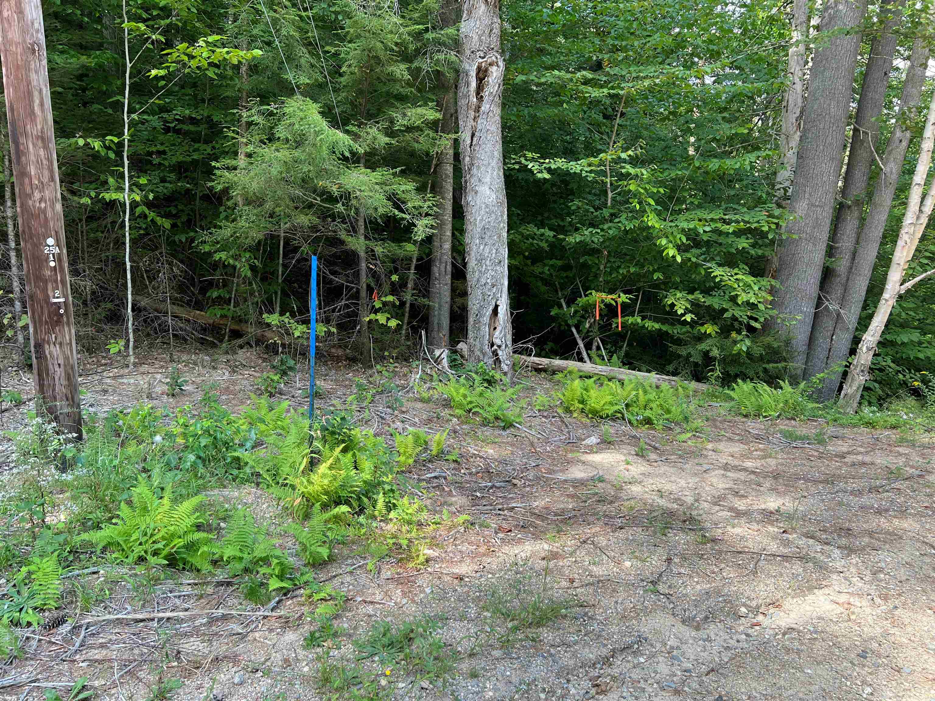 5 3/17 Bell Valley Road Campton, NH 03223 - Photo 1 of 26 Gallery Image 1