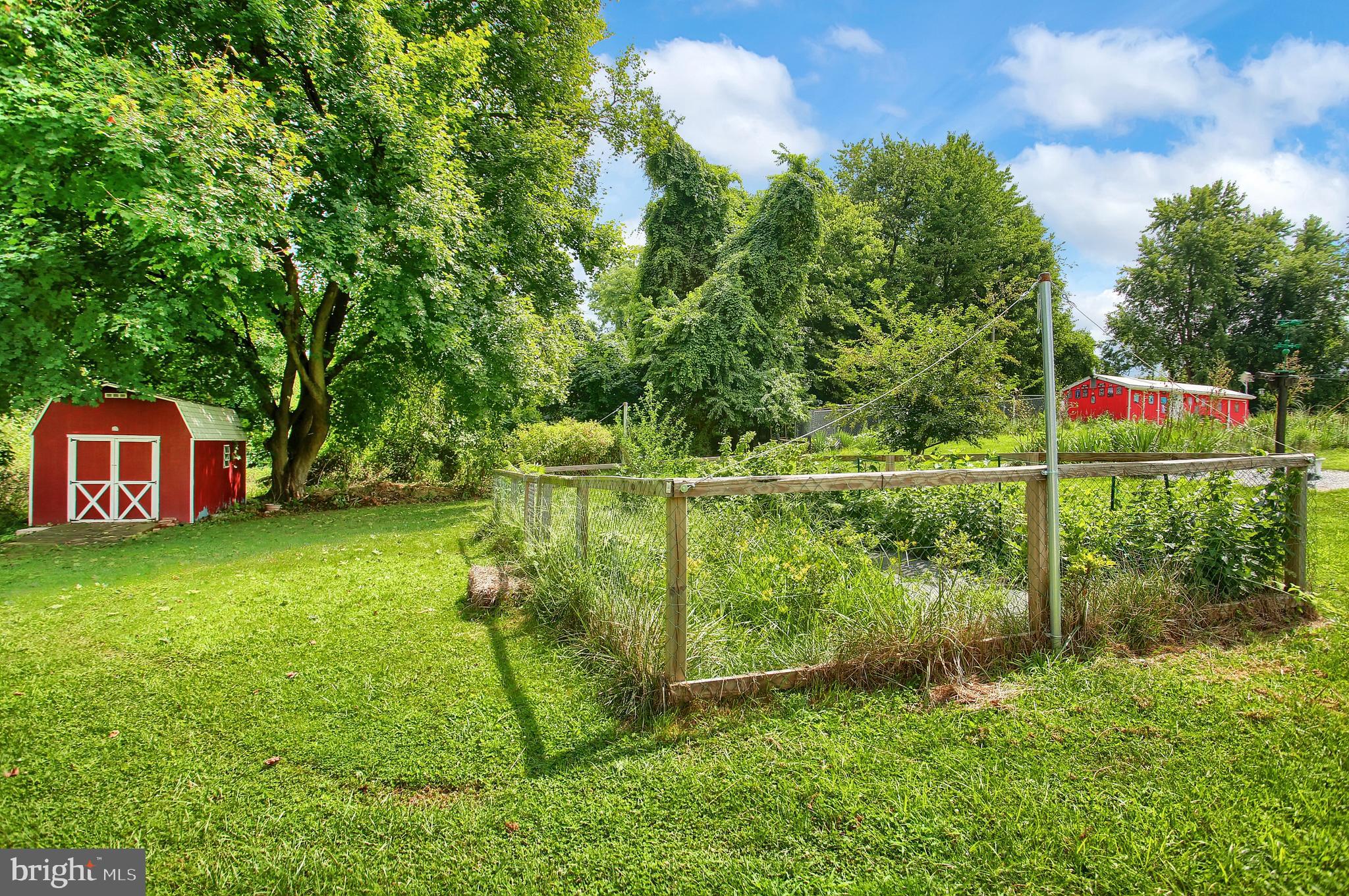 512 Ellencroft Road Lewisberry, PA 17339 - Photo 25 of 26 Beautiful Garden with Fruits and Berries