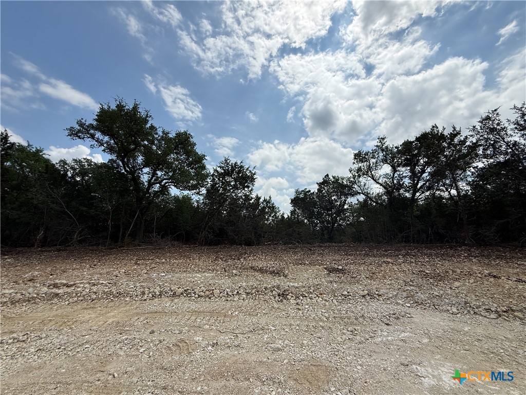 Tbd Lot 49 Tbd Ridge Salado, TX 76571 - Photo 2 of 5