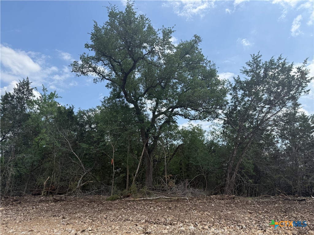 Tbd Lot 49 Tbd Ridge Salado, TX 76571 - Photo 3 of 5 a view of a forest