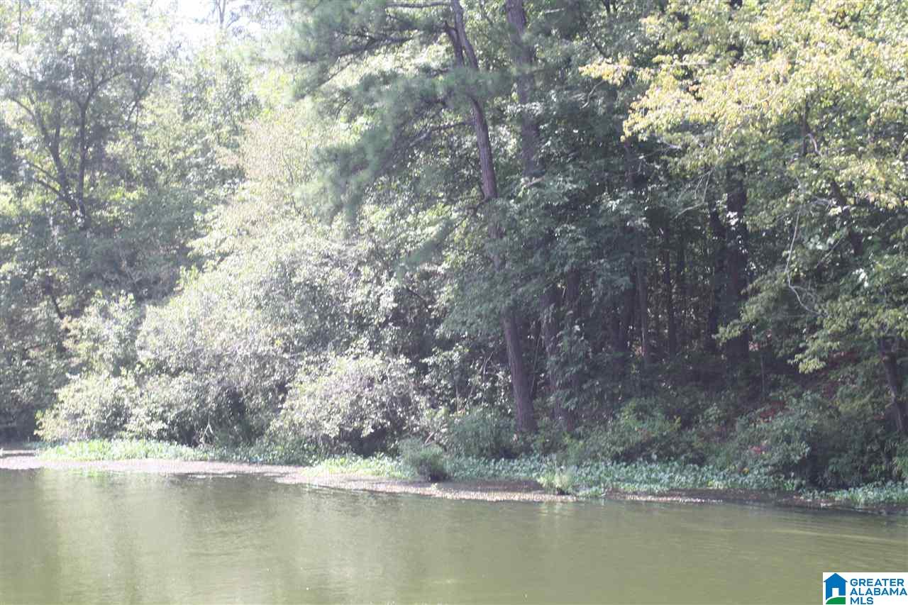Franklin Ferry Road, Unit 17 Oakman, AL 35579 - Photo 5 of 22