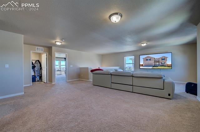 11353 Avena Road Peyton, CO 80831 - Photo 23 of 46 Loft area with view to laundry room, master bedroom and stairway