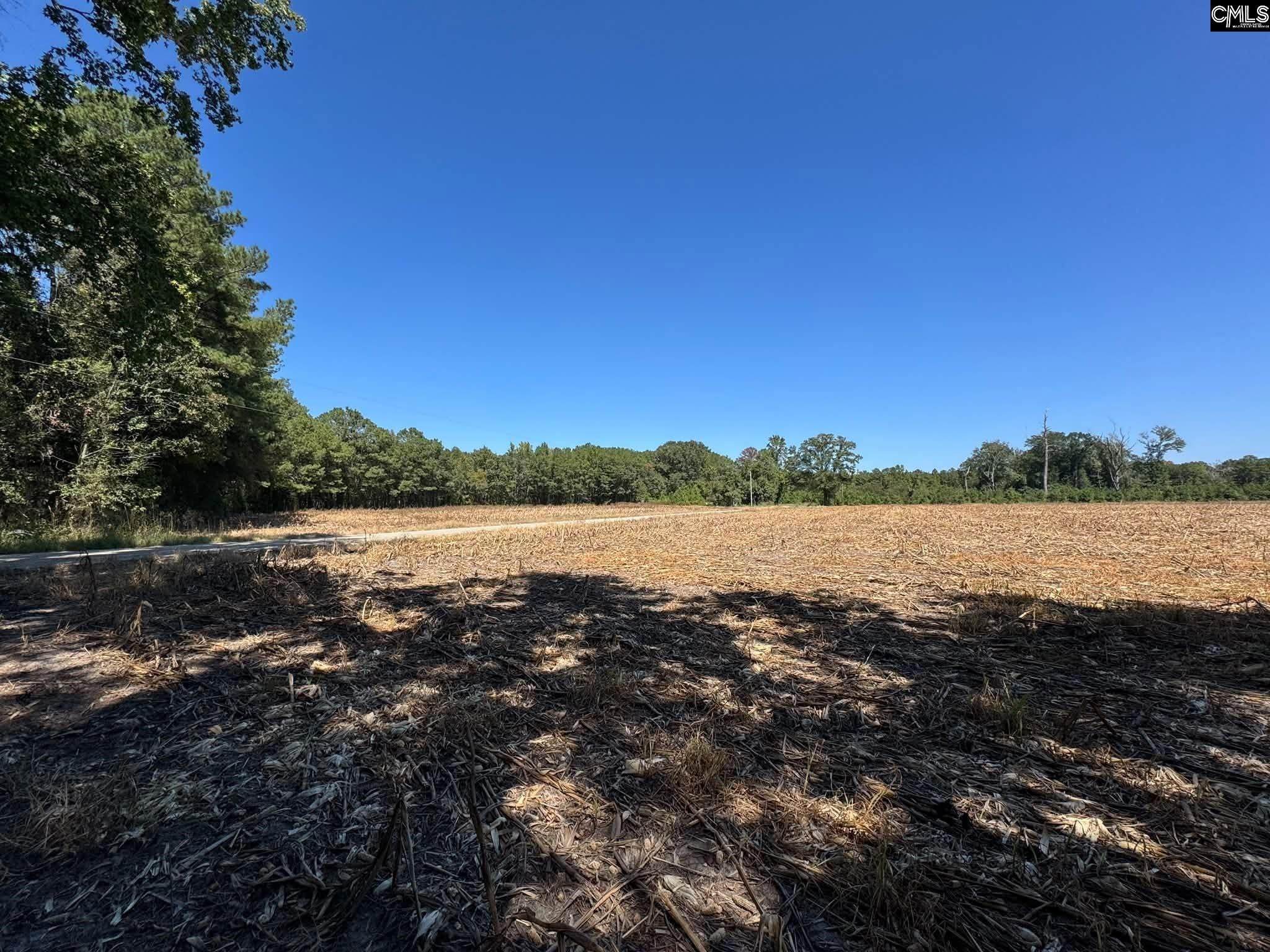 St Matthews Church Road Sumter, SC 29153 - Photo 6 of 34 Gallery Image 6