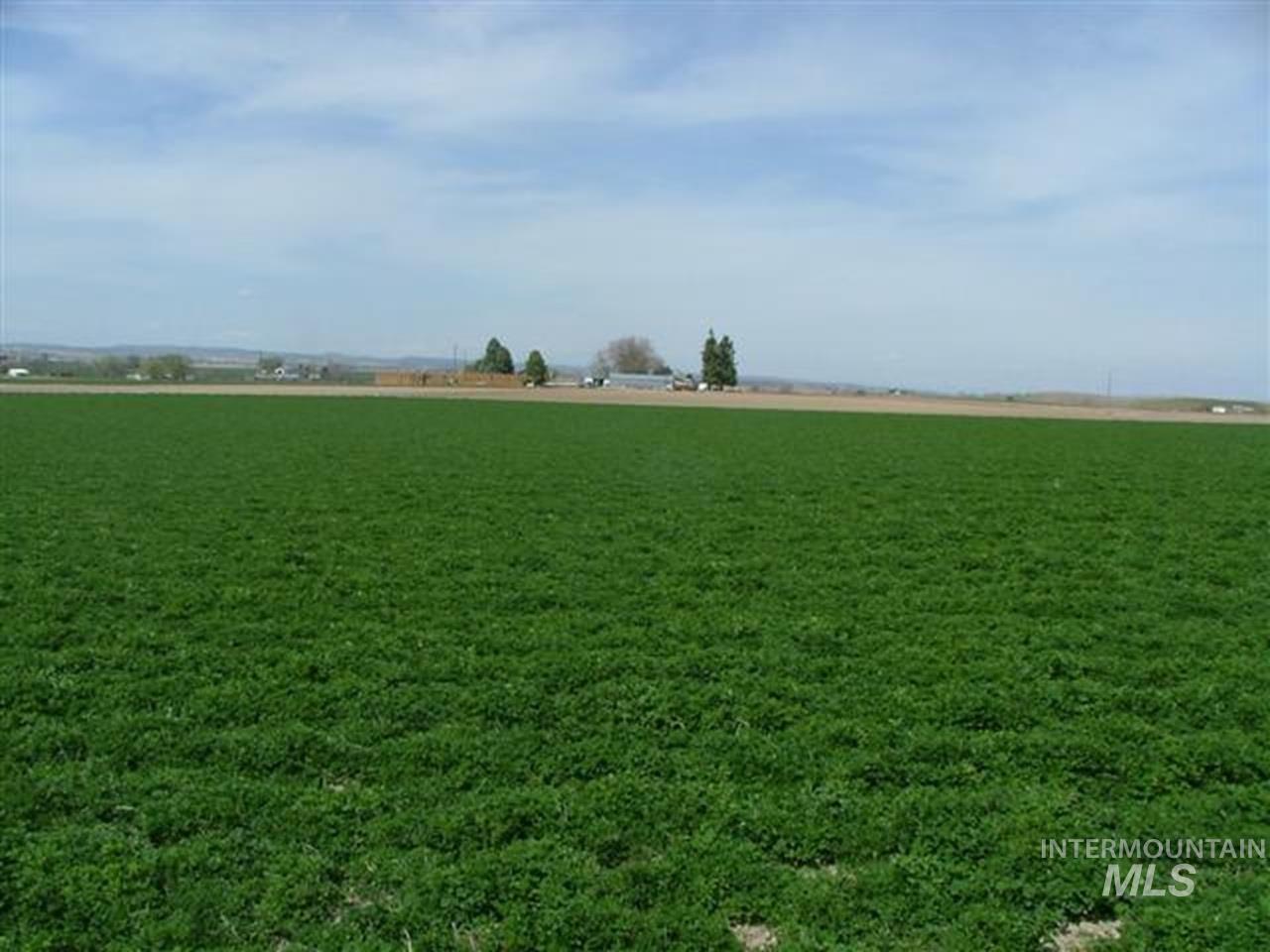 721 Mendiola Road Nyssa, OR 97913 - Photo 9 of 16