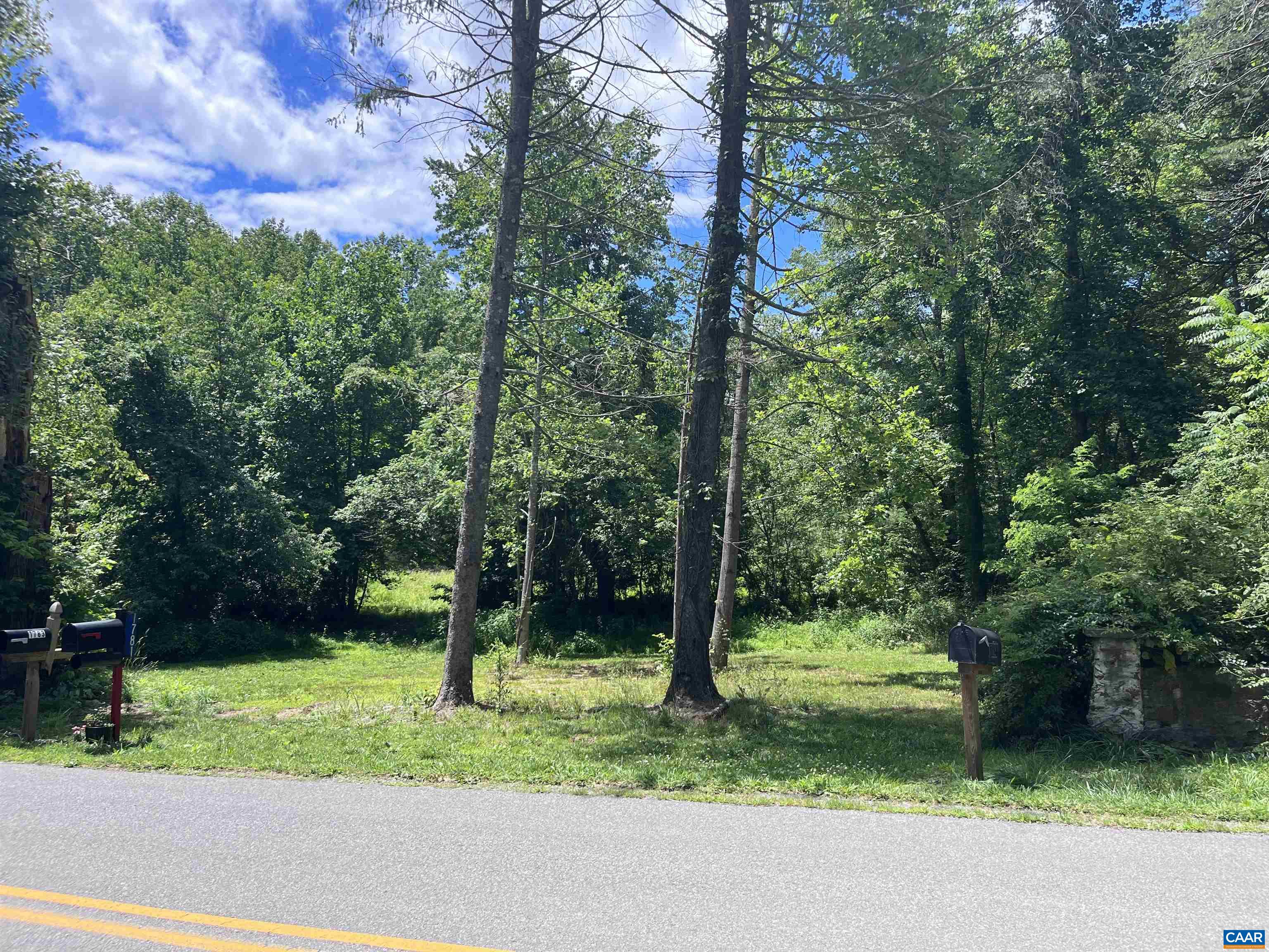 Tbd Old Lynchburg Road Charlottesville, VA 22903 - Photo 4 of 8 a view of a garden with a tree