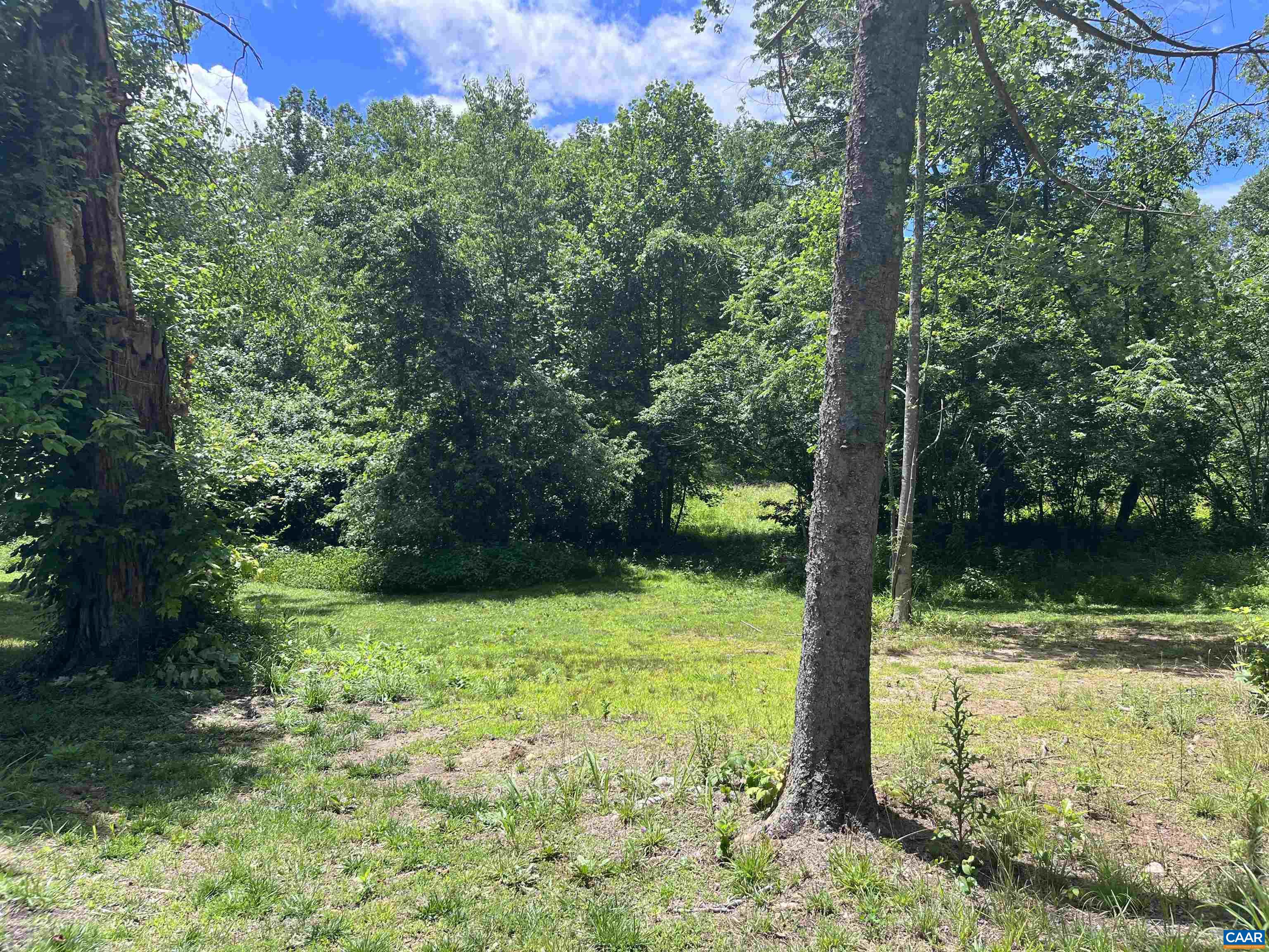 Tbd Old Lynchburg Road Charlottesville, VA 22903 - Photo 5 of 8 a view of a trees in a yard