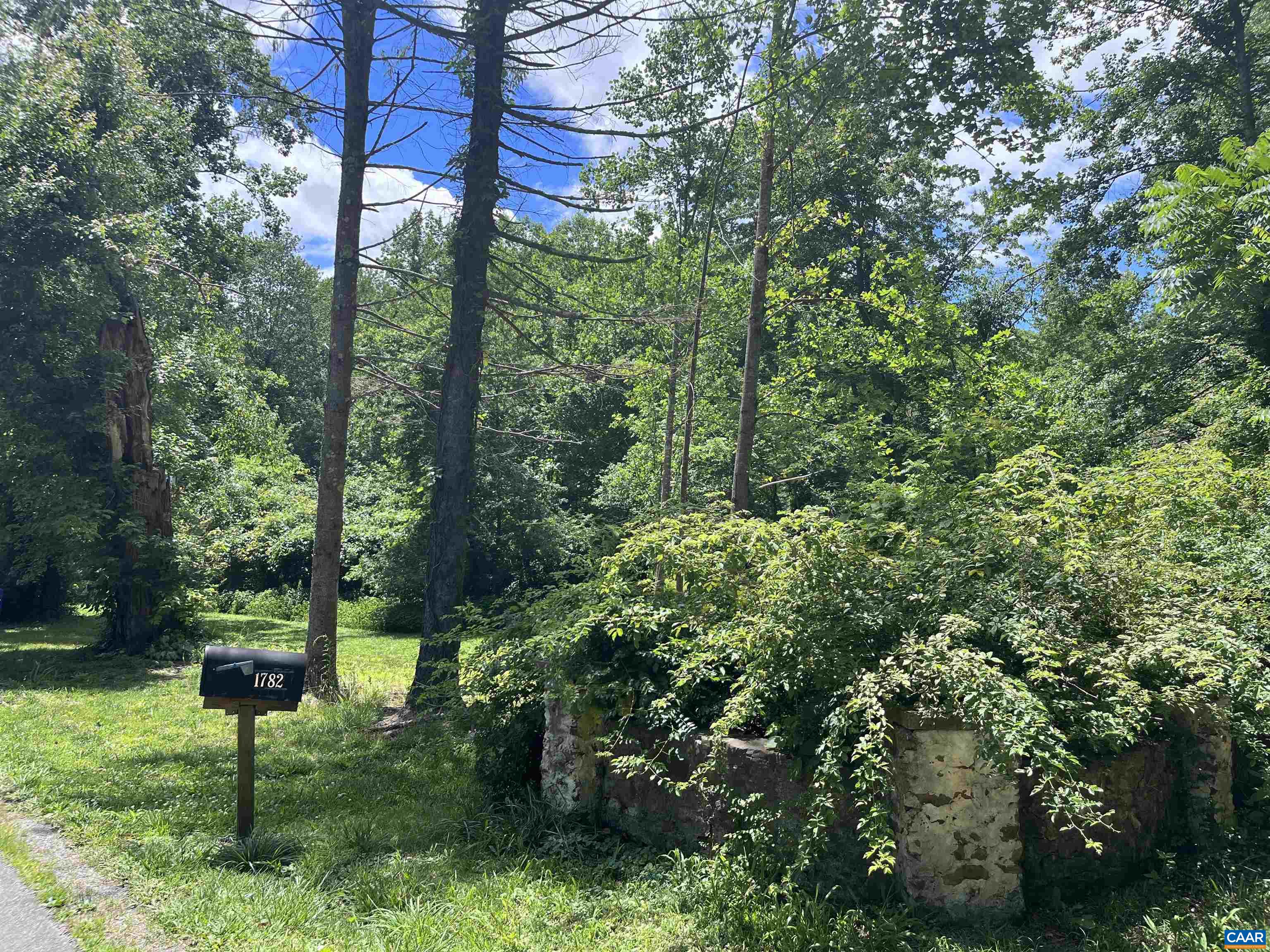 Tbd Old Lynchburg Road Charlottesville, VA 22903 - Photo 6 of 8 a view of a garden