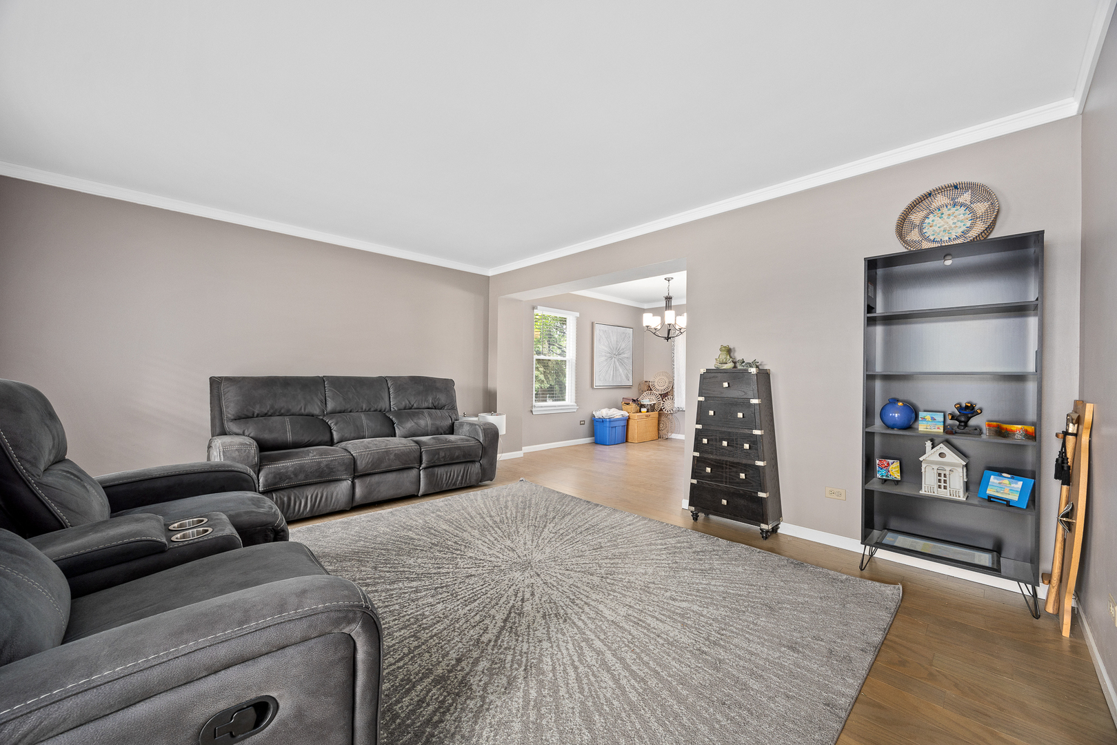 2 Buckboard Court Bolingbrook, IL 60490 - Photo 11 of 33 a living room with furniture and a couch