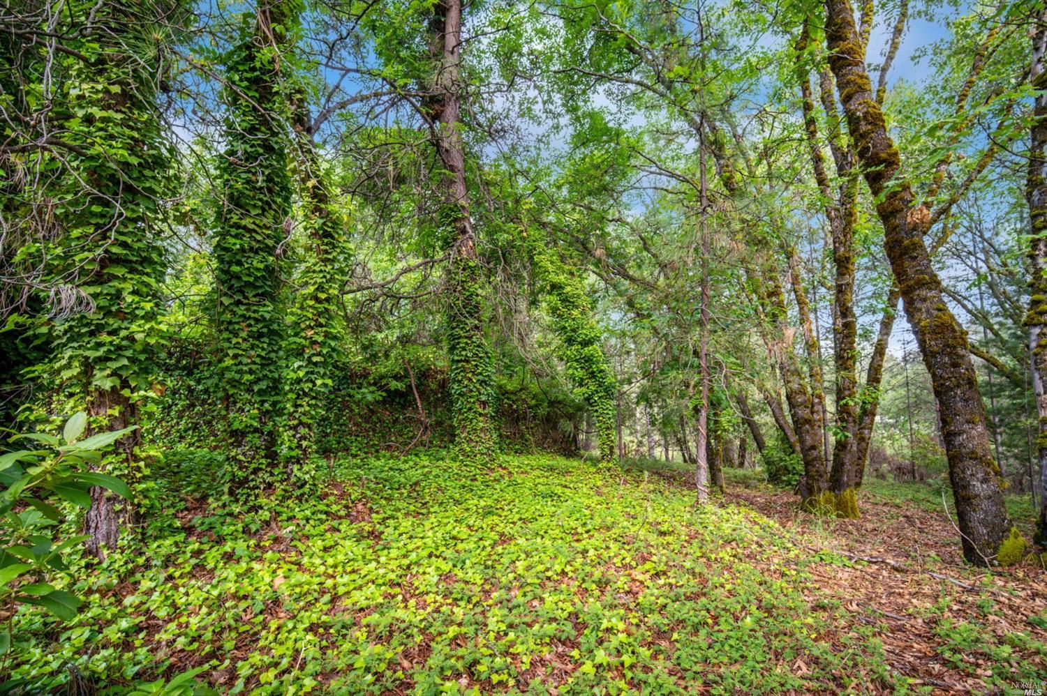 14178 Bar Ela Ranch Road Grass Valley, CA 95945 - Photo 12 of 50