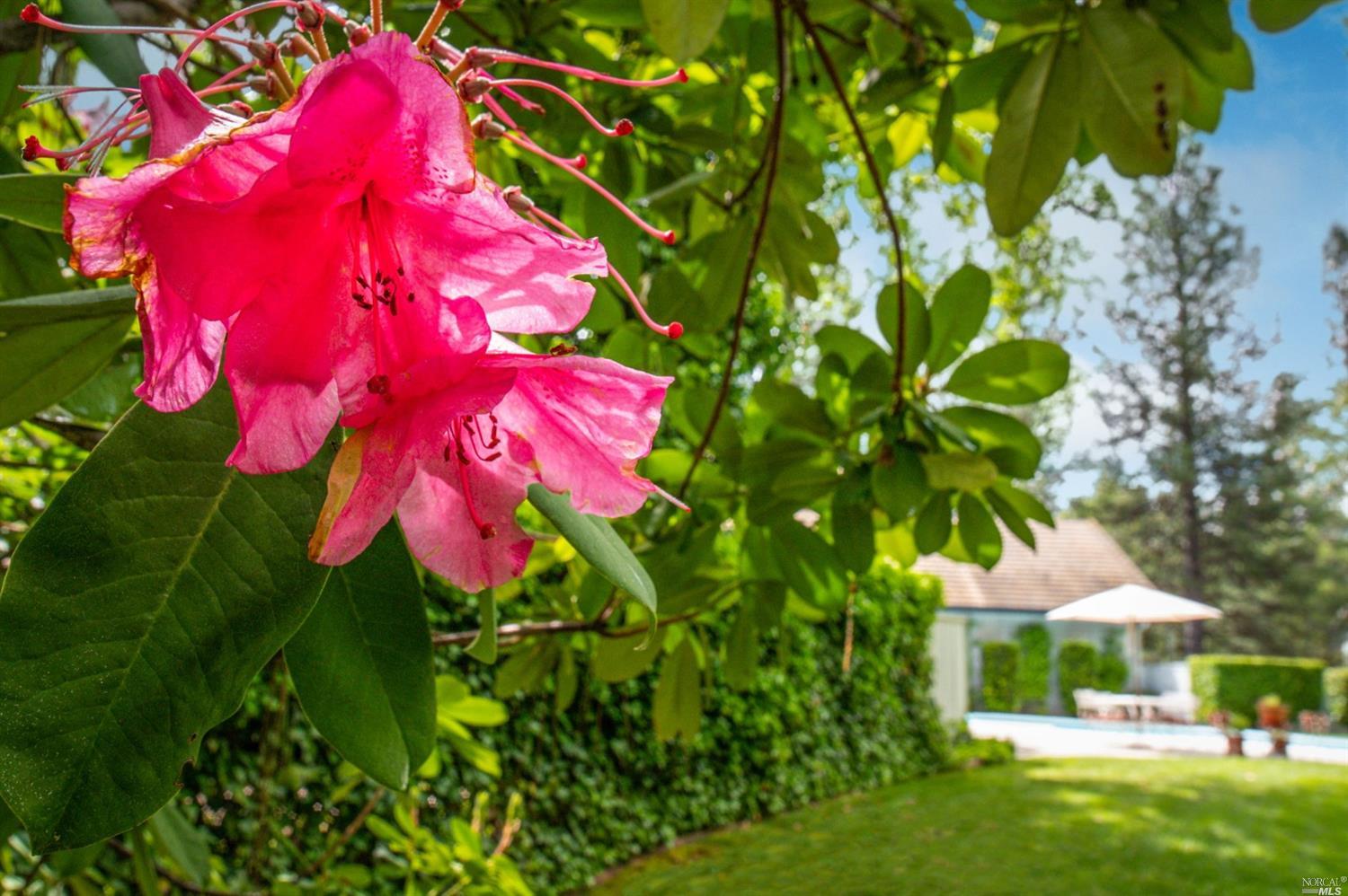 14178 Bar Ela Ranch Road Grass Valley, CA 95945 - Photo 13 of 50