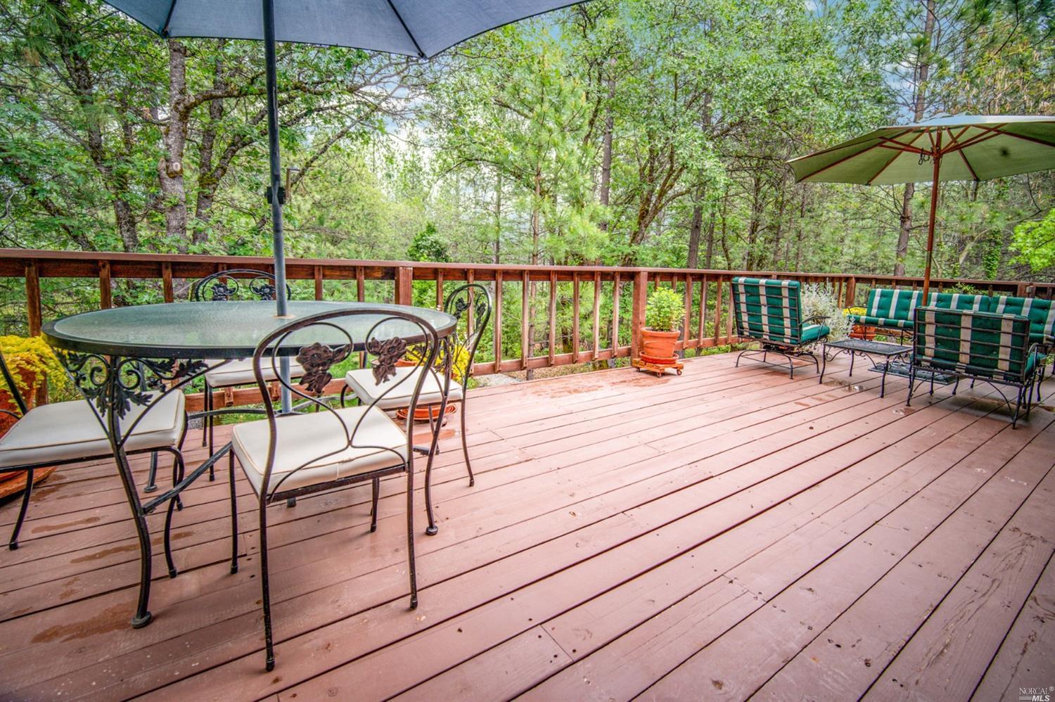 14178 Bar Ela Ranch Road Grass Valley, CA 95945 - Photo 28 of 50