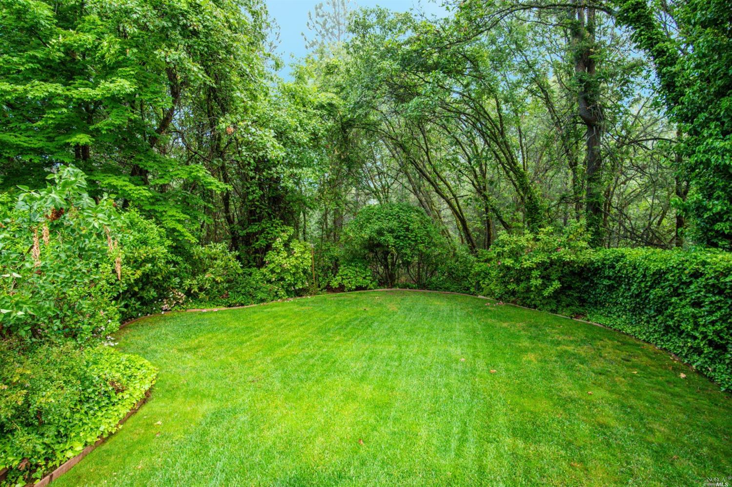 14178 Bar Ela Ranch Road Grass Valley, CA 95945 - Photo 7 of 50