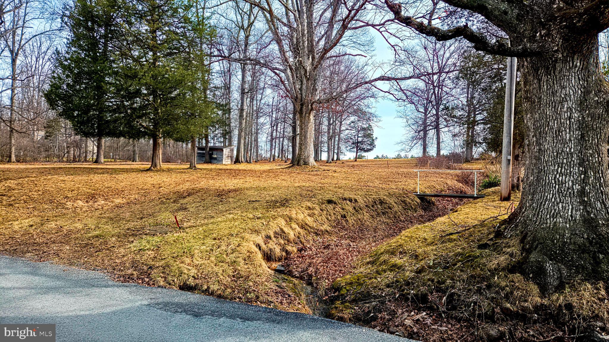 1895 Quarry Road Quakertown, PA 18951 - Photo 15 of 24 a view of a yard with trees