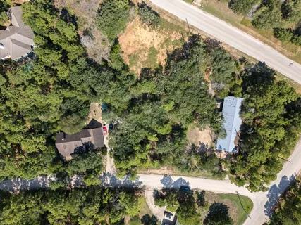a view of a bunch of flowers and trees