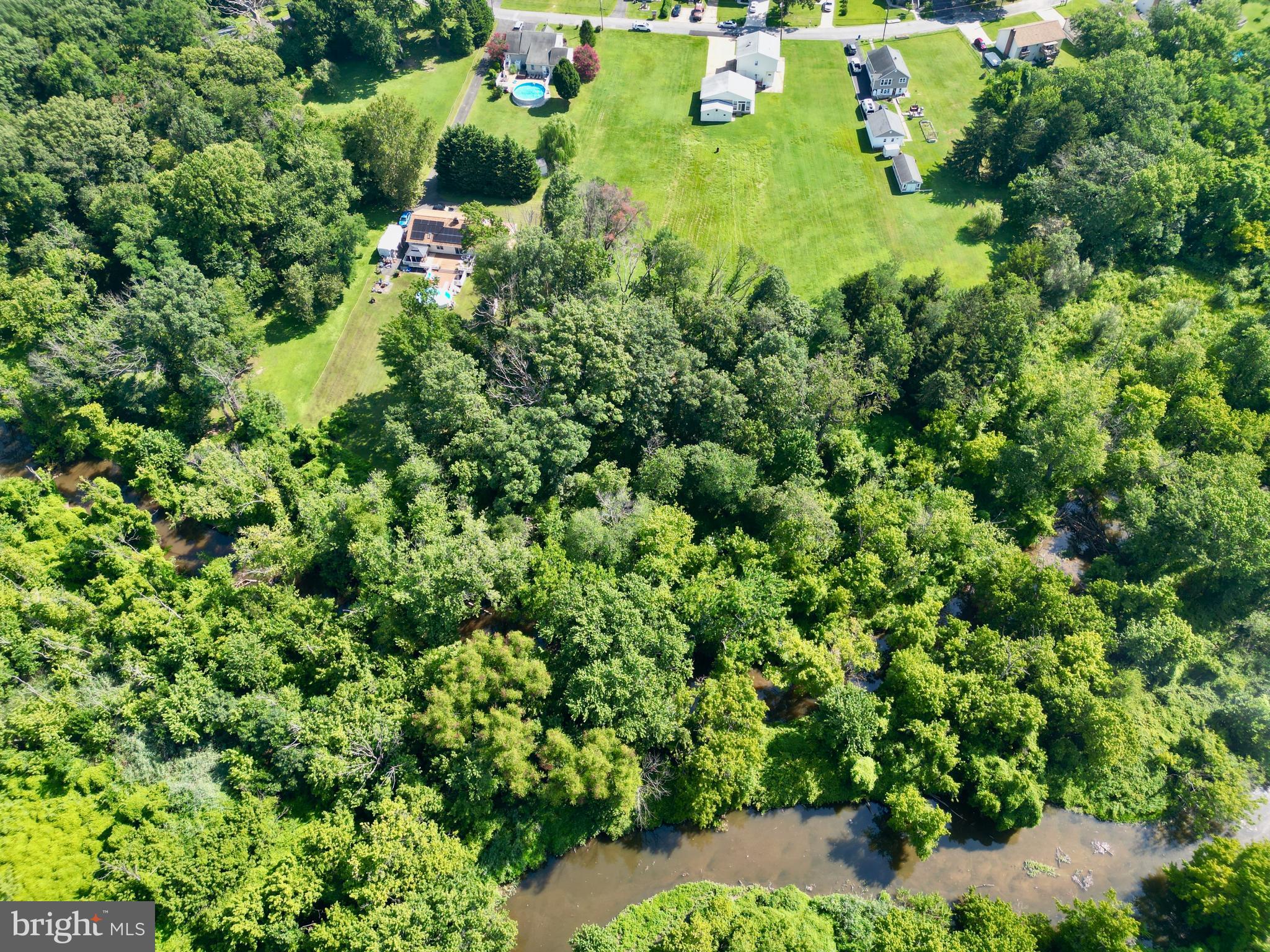 7848 Oakdale Avenue Rosedale, MD 21237 - Photo 33 of 46 a close up of a plant in a garden
