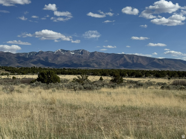 1530 East 1650 N Road Fillmore, UT 84631 - Photo 16 of 20