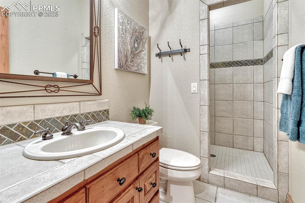 17890 Queensmere Drive Monument, CO 80132 - Photo 33 of 50 a bathroom with a sink toilet and shower