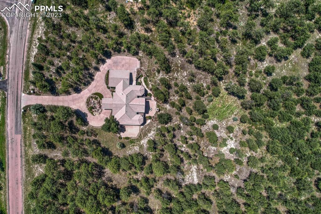 17890 Queensmere Drive Monument, CO 80132 - Photo 49 of 50 view of a yard