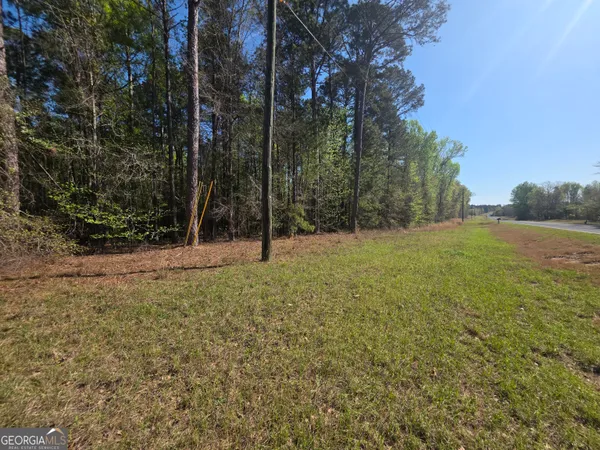 $21,999 | Tract B Ga Highway 102, Mitchell, GA 30820