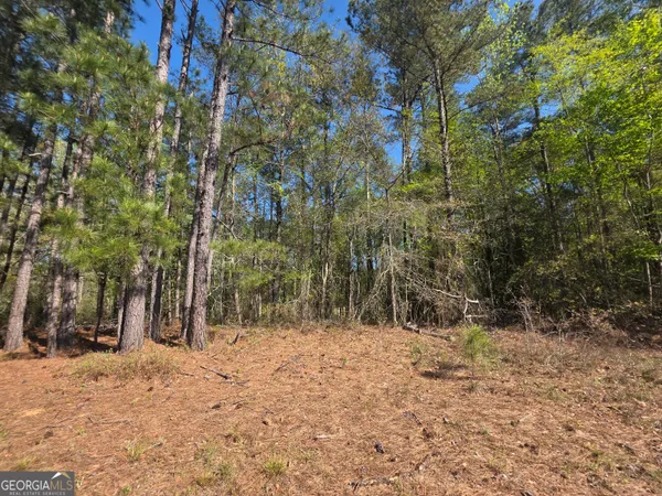 $21,999 | Tract B Ga Highway 102, Mitchell, GA 30820