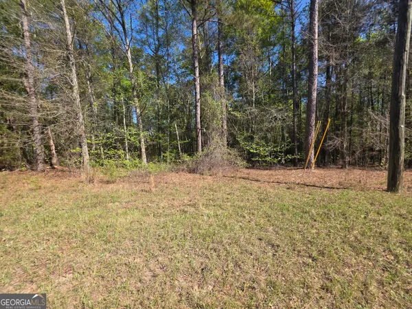 $21,999 | Tract B Ga Highway 102, Mitchell, GA 30820