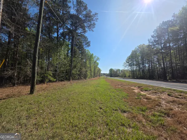 $21,999 | Tract B Ga Highway 102, Mitchell, GA 30820