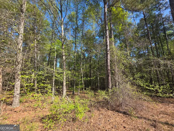 $21,999 | Tract B Ga Highway 102, Mitchell, GA 30820