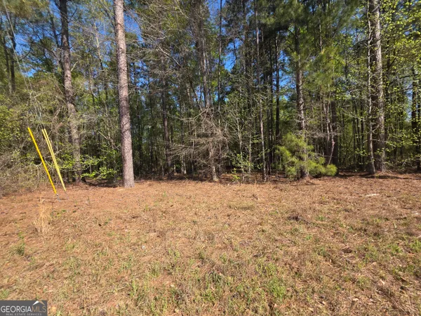 $21,999 | Tract B Ga Highway 102, Mitchell, GA 30820