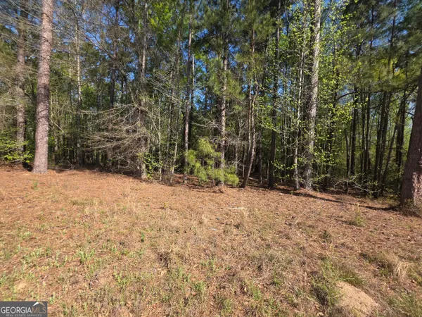 $21,999 | Tract B Ga Highway 102, Mitchell, GA 30820