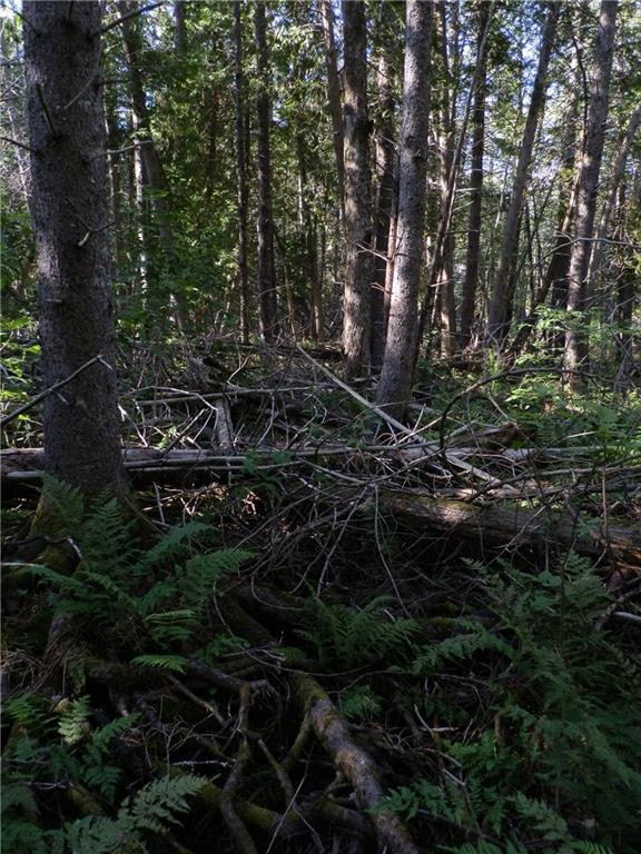 0 Copeland Hill Road Bangor, ME 04401 - Photo 14 of 19 Photo