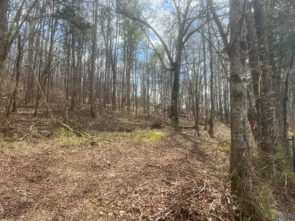 $55,000 | Lot 2 Candies Creek Ridge Road Northwest, Charleston, TN 37310