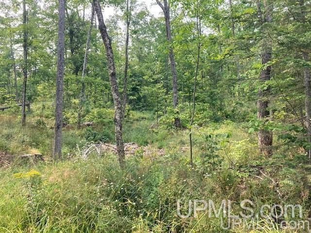 Tbd Old Mill Road Toivola, MI 49965 - Photo 20 of 25 Gallery Image 20
