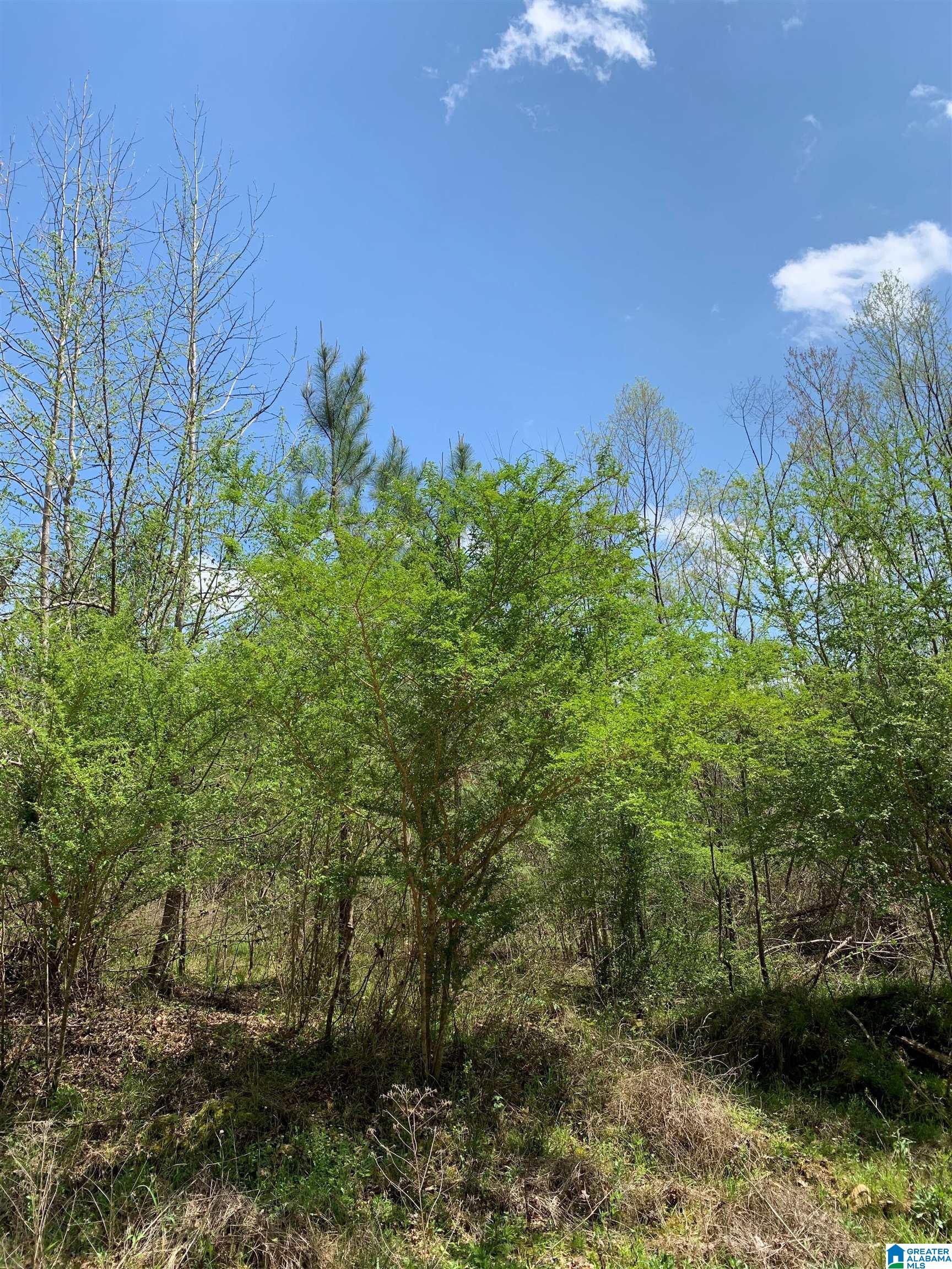 0 Cahaba Hill Road, Unit 10 ACRES Brierfield, AL 35035 - Photo 1 of 1