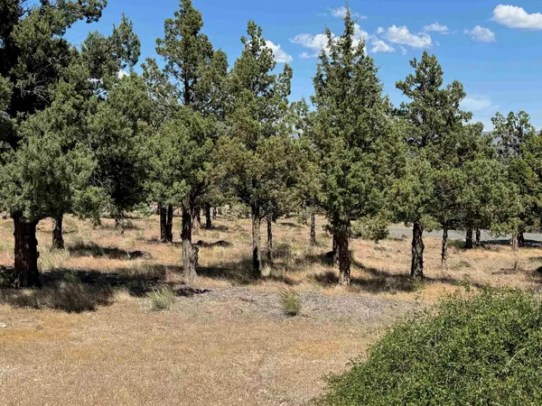 $5,333 | 9-1 Lot 114 Wildhorse Place, Weed, CA 96094