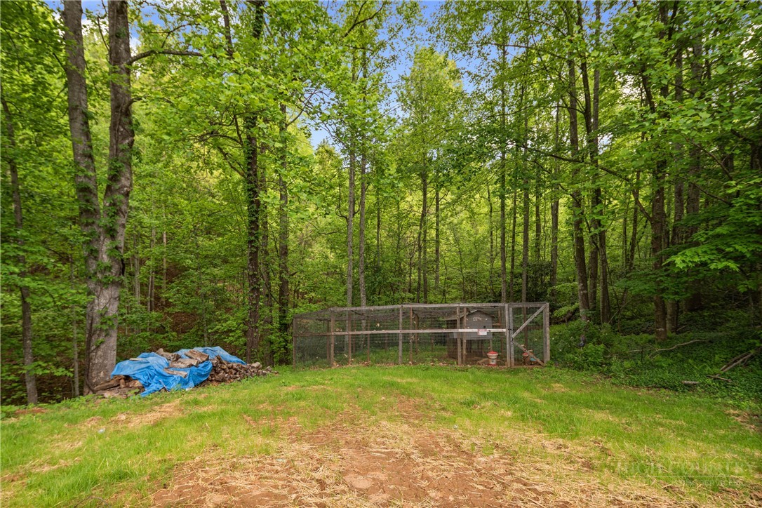 466 Stony Fork Road Deep Gap, NC 28618 - Photo 17 of 49