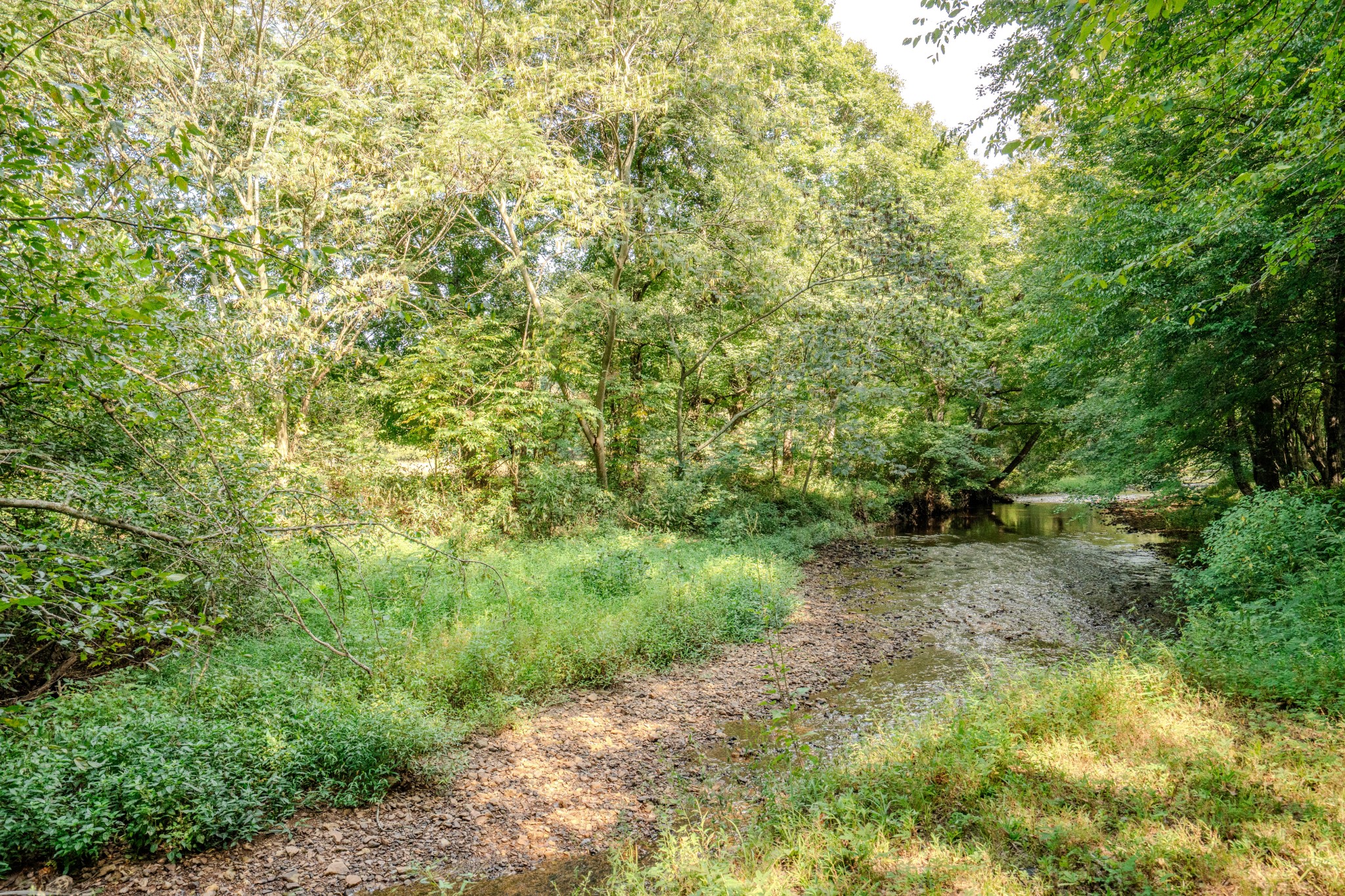 9270 Last Butler Creek Road Iron City, TN 38463 - Photo 81 of 86 Gallery Image 81