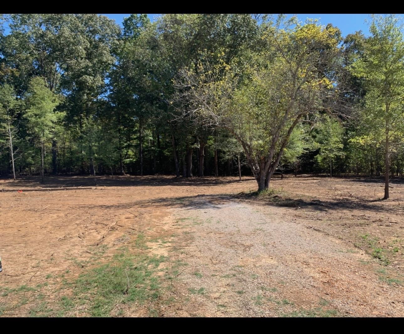 0 Coln Lane Michie, TN 38357 - Photo 1 of 5