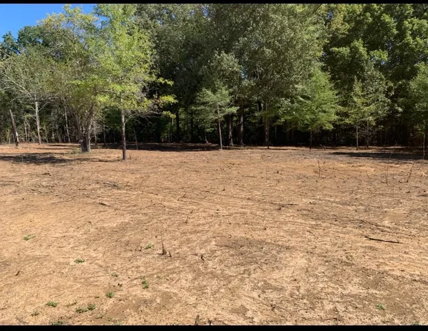 $27,000 | 0 Coln Lane, Michie, TN 38357