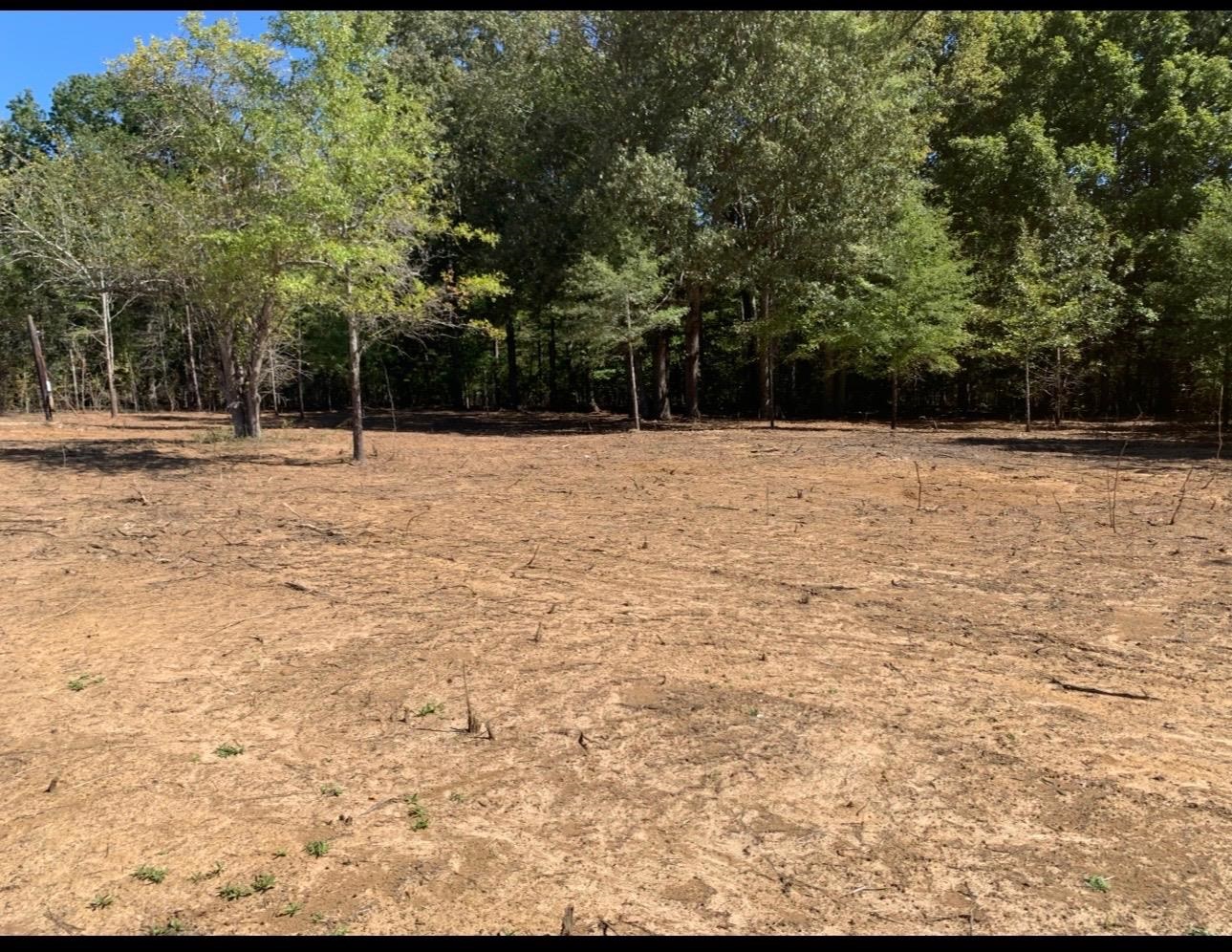 0 Coln Lane Michie, TN 38357 - Photo 3 of 5