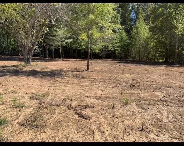 $27,000 | 0 Coln Lane, Michie, TN 38357