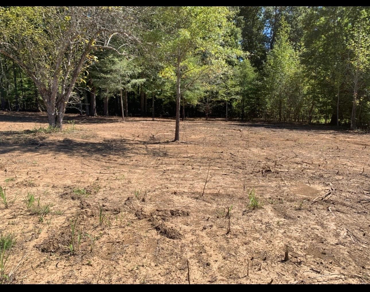 0 Coln Lane Michie, TN 38357 - Photo 4 of 5