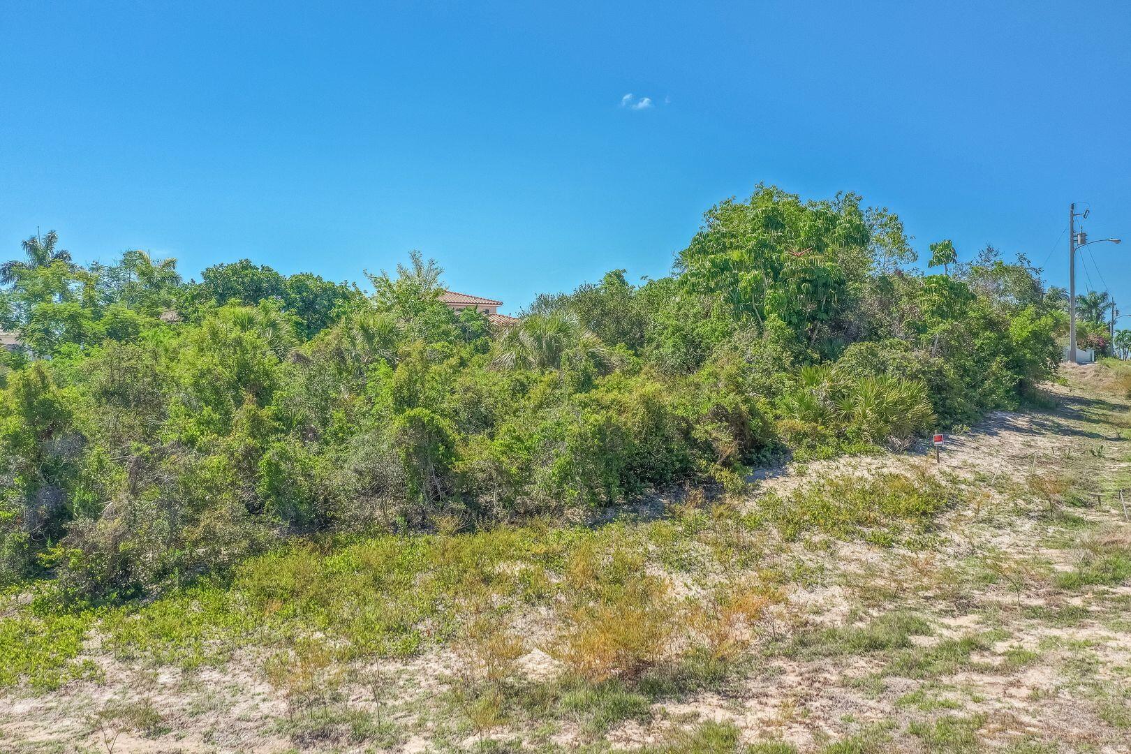 790 Inlet Drive Marco Island, FL 34145 - Photo 14 of 14 a view of a big yard with large trees