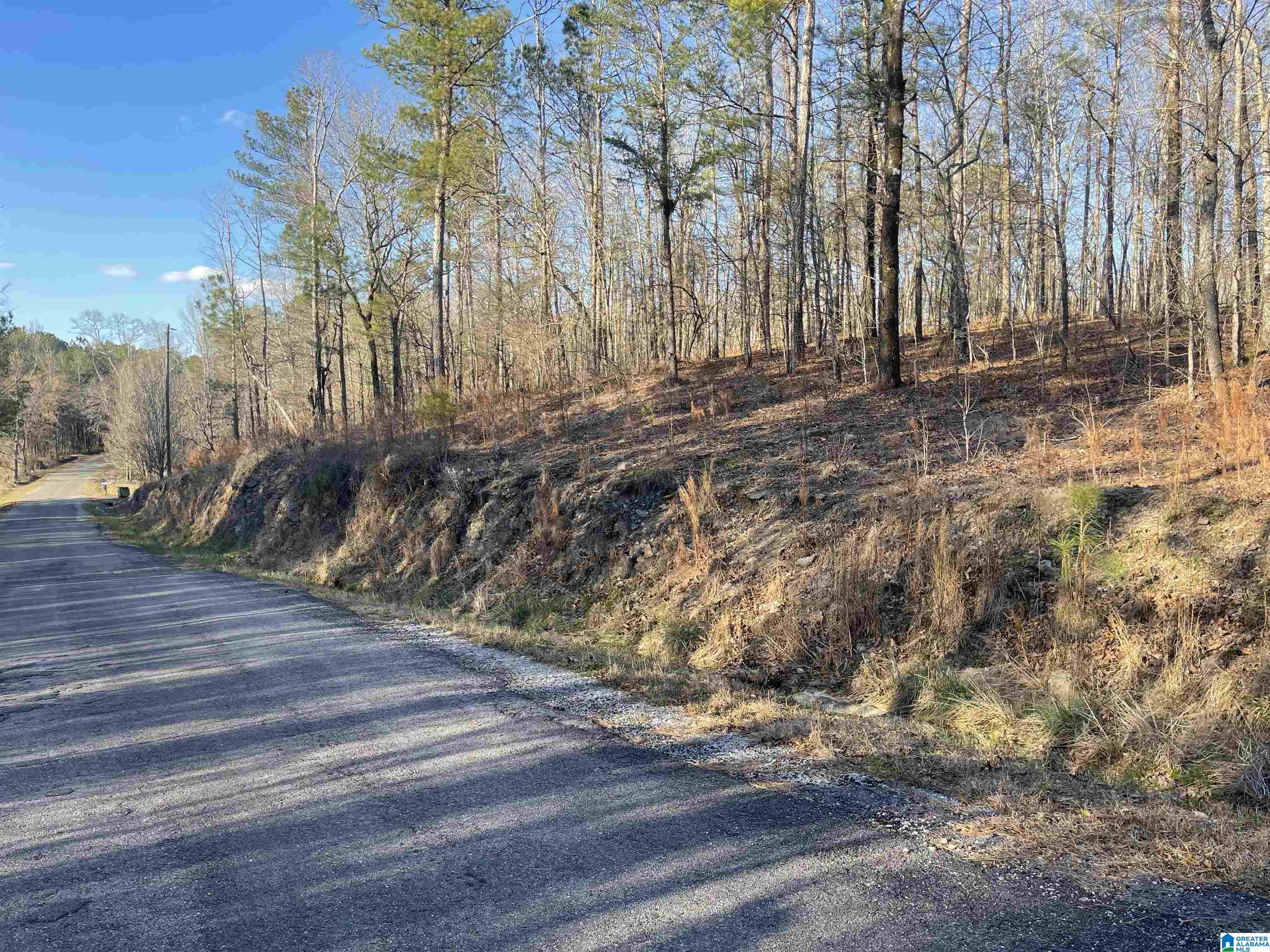 0 County Road 195 Clanton, AL 35045 - Photo 1 of 3