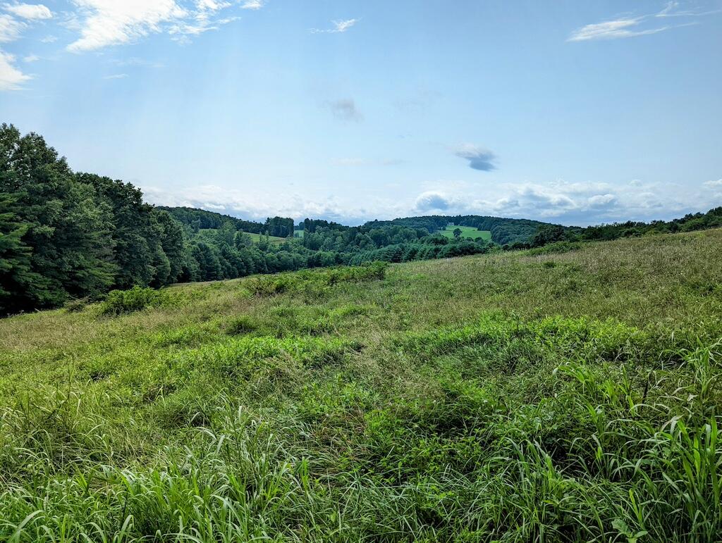 0 Camp Five Road Willis, VA 24380 - Photo 3 of 9 1 (2)