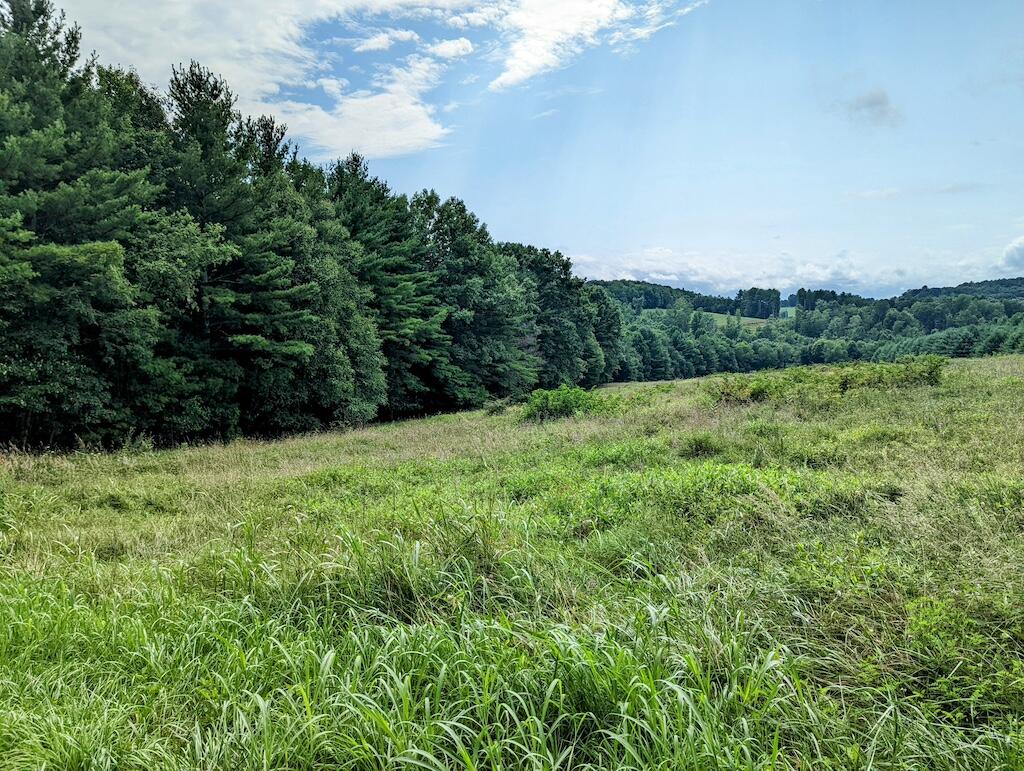 0 Camp Five Road Willis, VA 24380 - Photo 4 of 9 1 (3)