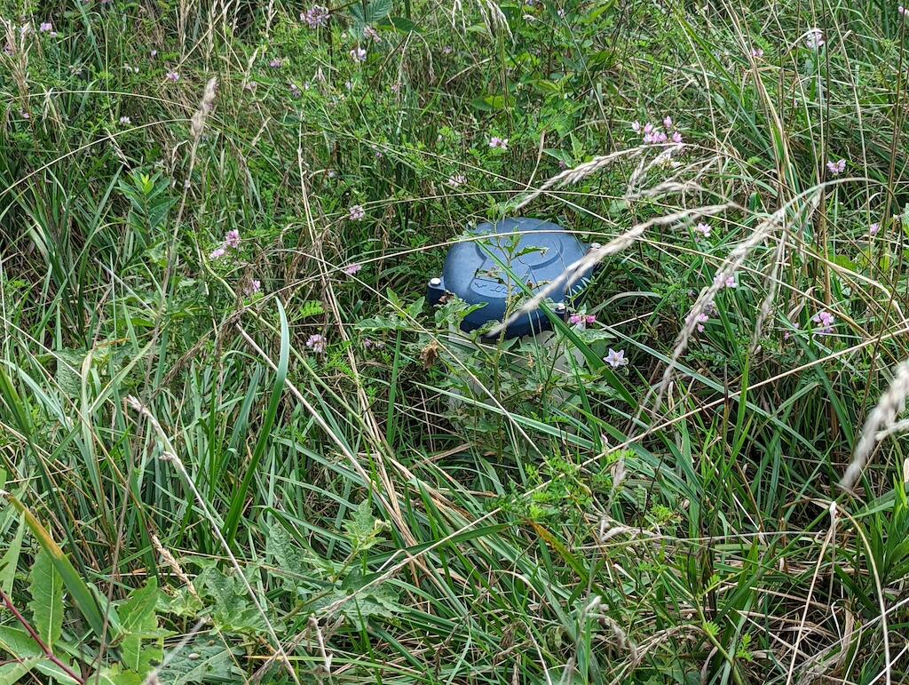 0 Camp Five Road Willis, VA 24380 - Photo 5 of 9 1 (4)