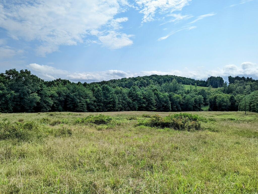 0 Camp Five Road Willis, VA 24380 - Photo 6 of 9 1 (6)