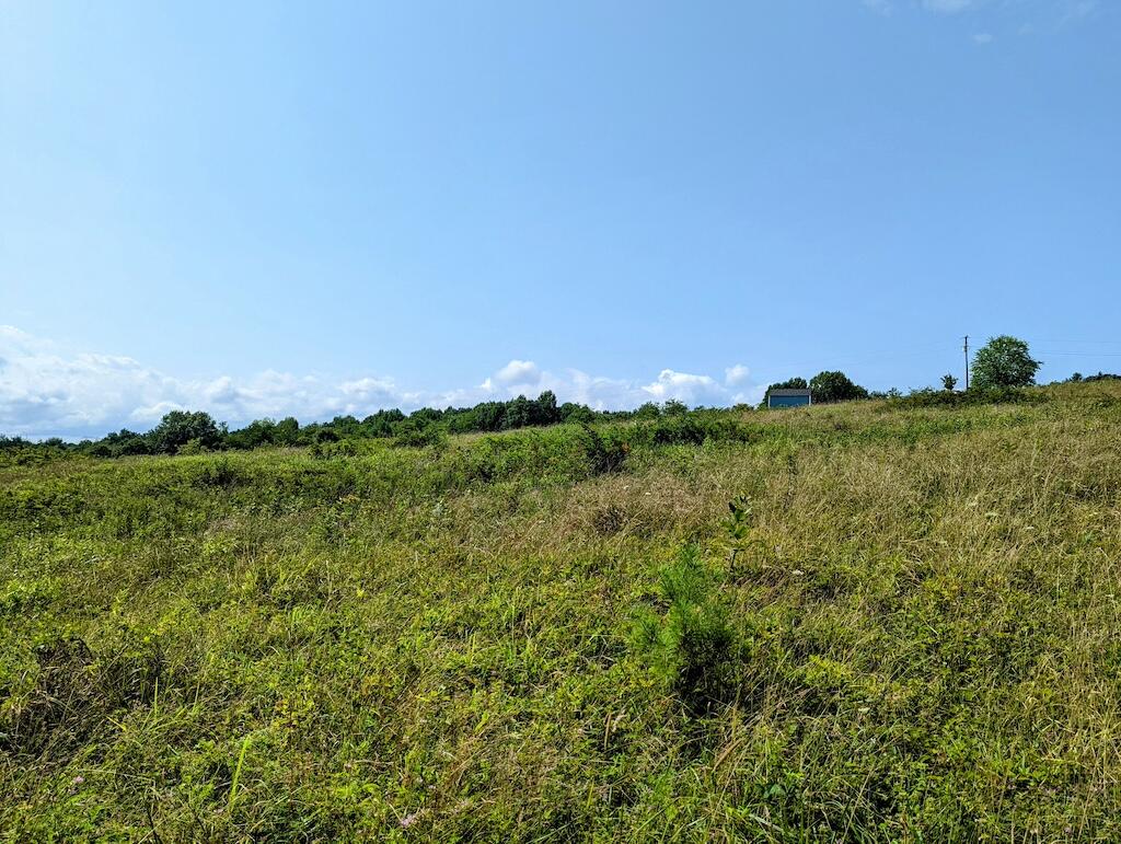 0 Camp Five Road Willis, VA 24380 - Photo 9 of 9 1 (9)